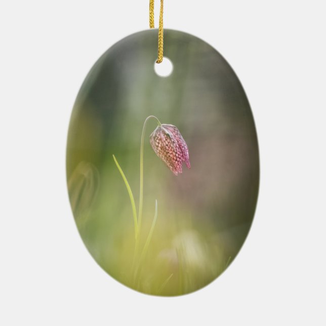 Ornamento De Cerâmica Foto da Natureza do Chess Flower (Verso)
