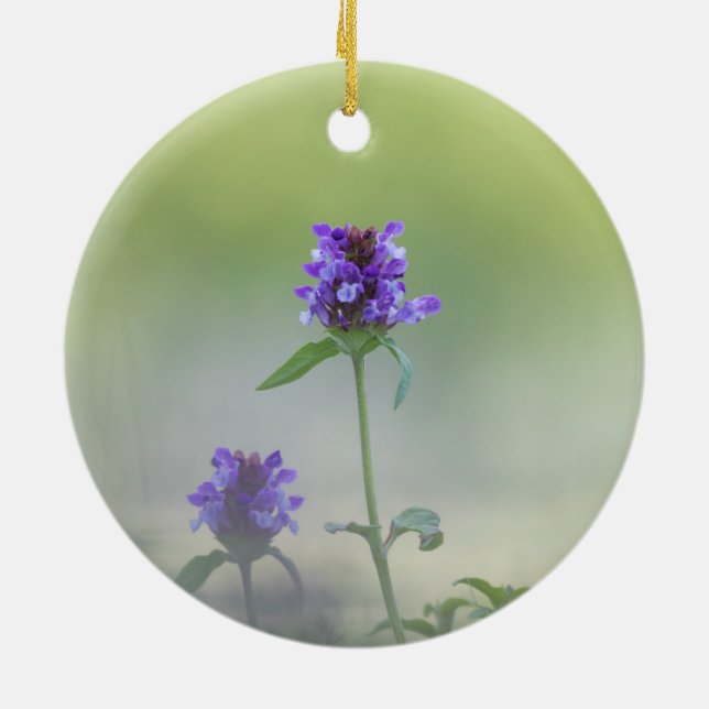 Ornamento De Cerâmica Foto da natureza do Prunella Flower (Traseira)