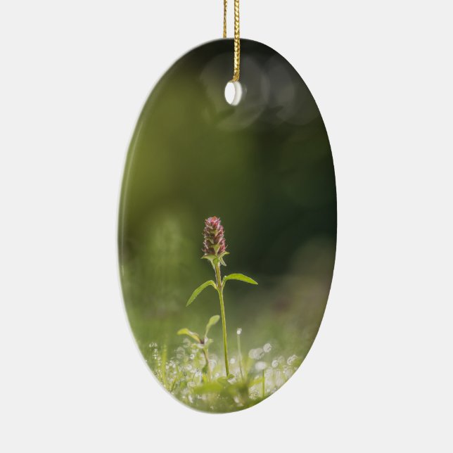 Ornamento De Cerâmica Foto da natureza do Prunella Flower (Direito )