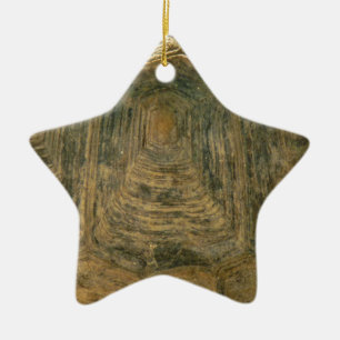 Ornamento De Cerâmica Foto da Tortoise Shell Nature