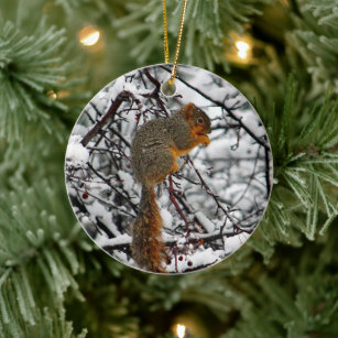 Ornamento De Cerâmica Foto de Árvore de Neve de Esquilo