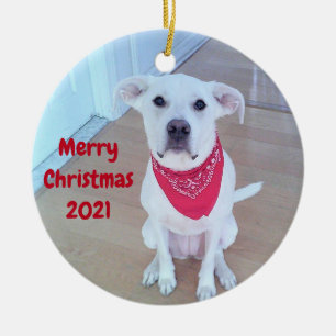 Ornamento De Cerâmica Foto de Cachorro Bonito com Ouvidos Engraçados