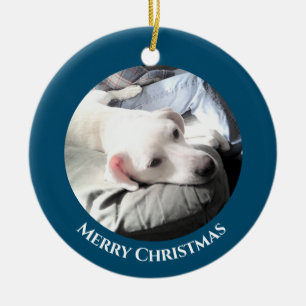 Ornamento De Cerâmica Foto de Cachorro Branco-Bonito com Pai Azul Cerami