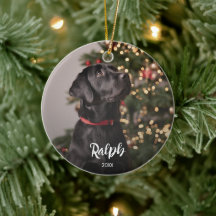 Foto de Cachorro com Sobreposição de Texto do Nome