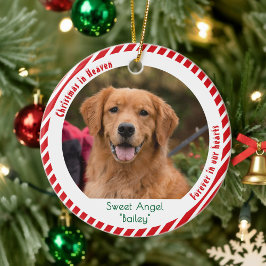 Ornamento De Cerâmica Foto de Cachorro Fofo Memorial Pet Lembrança Natal