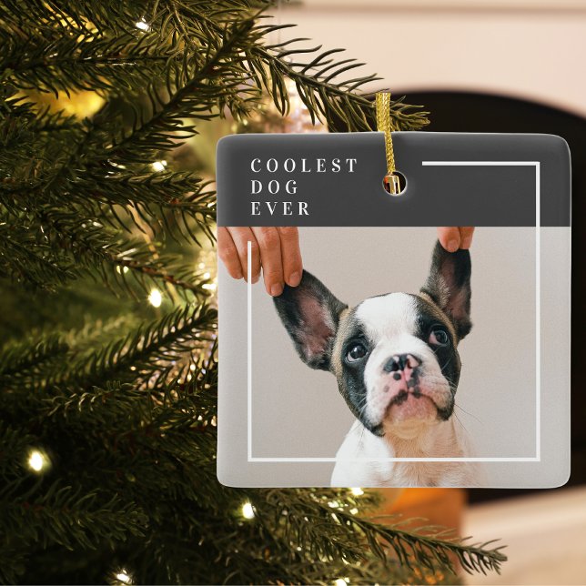 Ornamento De Cerâmica Foto de Cachorro Moderno | Cachorro Mais Legal (Criador carregado)