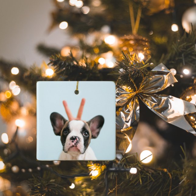 Ornamento De Cerâmica Foto de Cachorro Moderno | Feliz Natal (Criador carregado)
