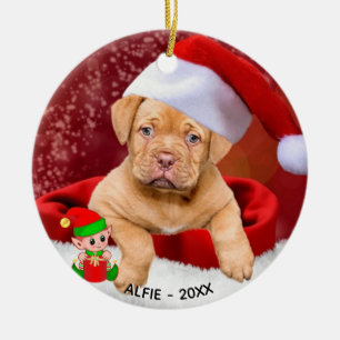Ornamento De Cerâmica Foto de Cachorro Picolado Personalizada com Elf Bo