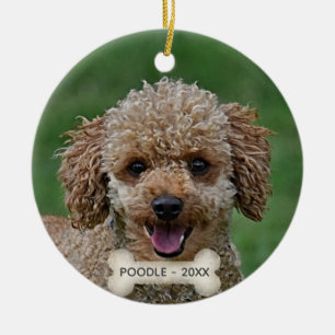 Ornamento De Cerâmica Foto de cachorro Poodle apricotado personalizado
