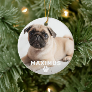 Ornamento De Cerâmica Foto de Cachorro Simples com Pegada de Pata e Nome
