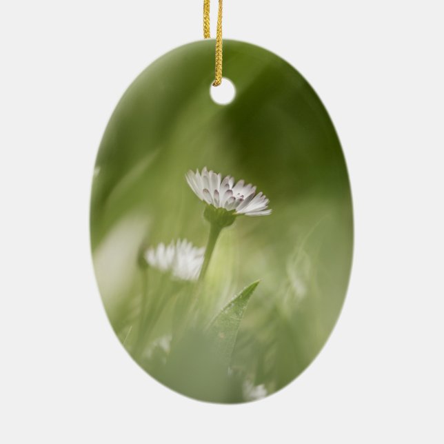 Ornamento De Cerâmica Foto de Daisy Nature (Verso)