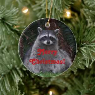 Ornamento De Cerâmica Foto de Felry Christmas Forest Raccoon