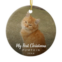 Foto de Gato Bonito Meu Primeiro Script de Giz de 