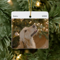 Foto de Natal de Imagem de Cachorro Engraçado Pers