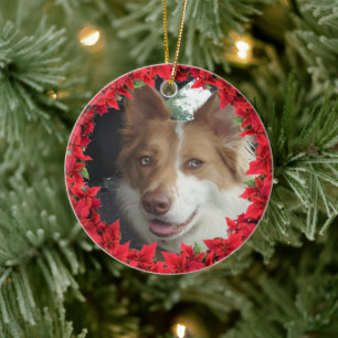 Ornamento De Cerâmica Foto de Natal de Pet