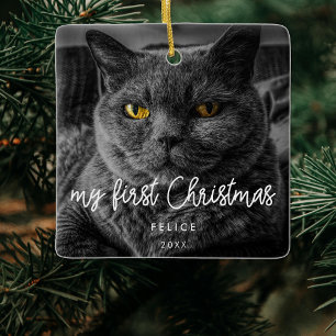Ornamento De Cerâmica Foto de Pet Moderno Feriado de Natal