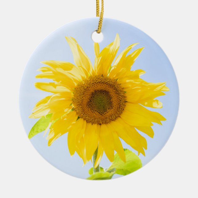 Ornamento De Cerâmica Foto de Sunflower Nature (Frente)