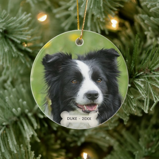 Ornamento De Cerâmica Foto do Cachorro Collie de Borda Personalizada (Árvore)