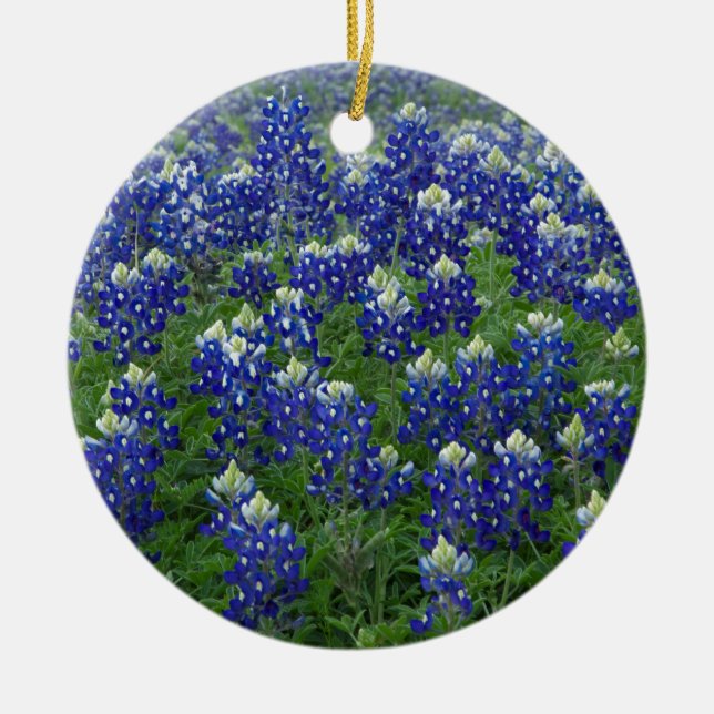 Ornamento De Cerâmica Foto do campo dos Bluebonnets de Texas (Frente)
