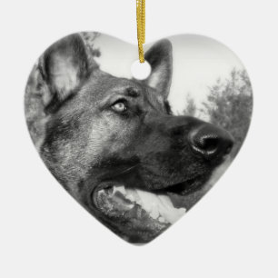 Ornamento De Cerâmica Foto do german shepherd