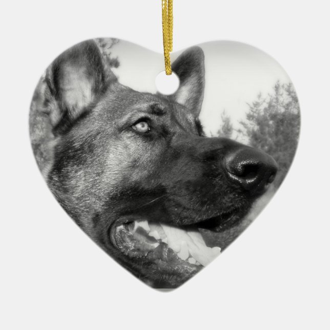 Ornamento De Cerâmica Foto do german shepherd (Frente)