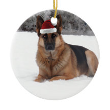 Foto do german shepherd