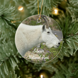 Ornamento De Cerâmica Foto do Glacier National Park Mountain Goat