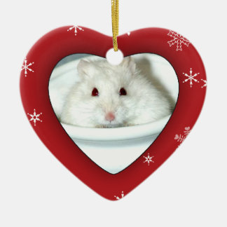 Ornamento De Cerâmica Foto do hamster do albino