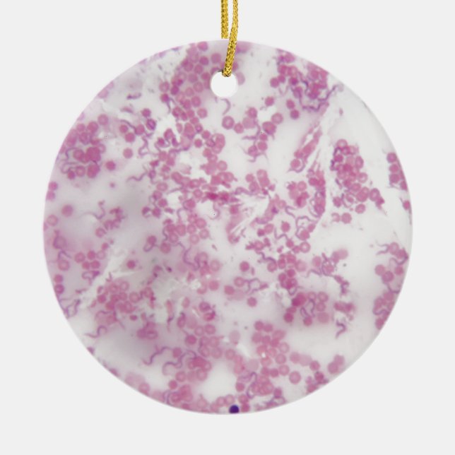 Ornamento De Cerâmica Foto do microscópio do sangue humano com (Frente)