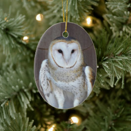 Ornamento De Cerâmica Foto do Raptor Barn Owl