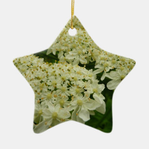 Ornamento De Cerâmica Foto Floral de Lace Wildflower da rainha Anne