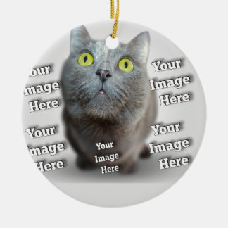 Ornamento De Cerâmica Foto Incrível de Pássaro Gato-Cão