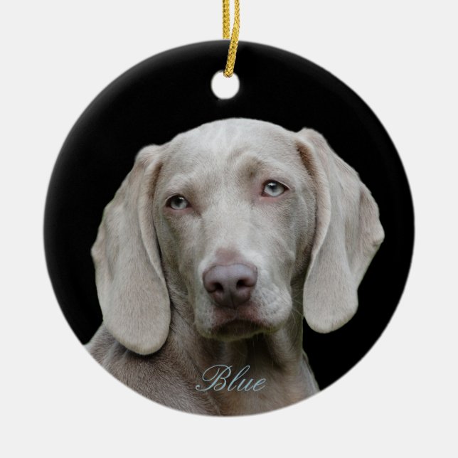 Ornamento De Cerâmica Foto personalizada com o Weimaraner Eyed azul (Frente)