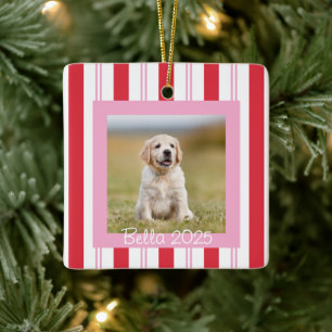 Ornamento De Cerâmica Foto personalizada de animal de estimação rosa ver