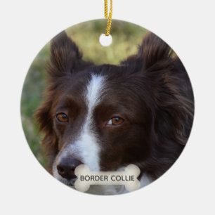 Ornamento De Cerâmica Foto personalizada de Border Collie marrom