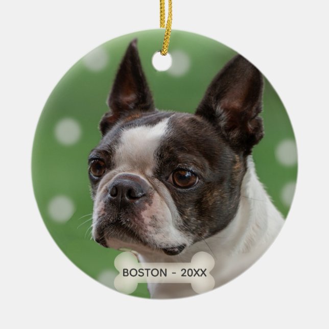 Ornamento De Cerâmica Foto personalizada de Boston Terrier Dog (Frente)