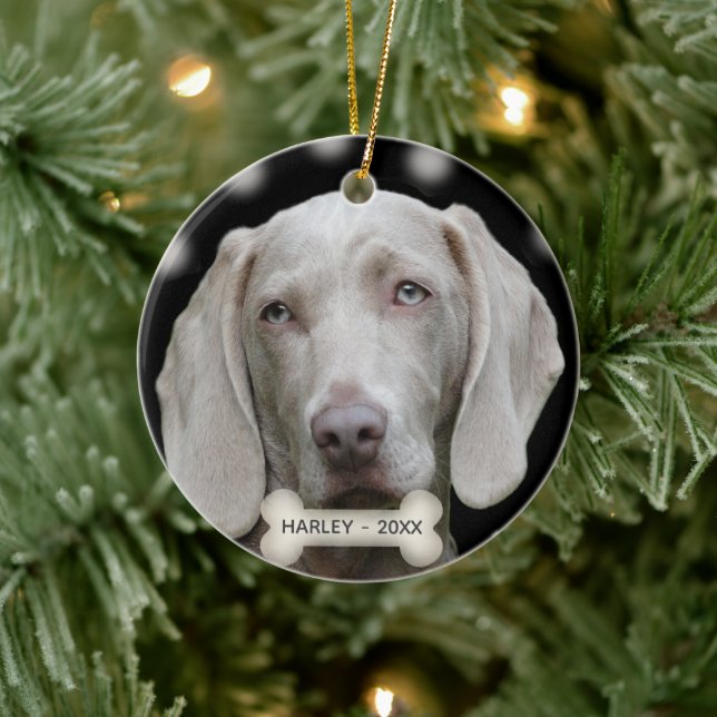 Ornamento De Cerâmica Foto personalizada de cachorro do Weimaraner (Árvore)