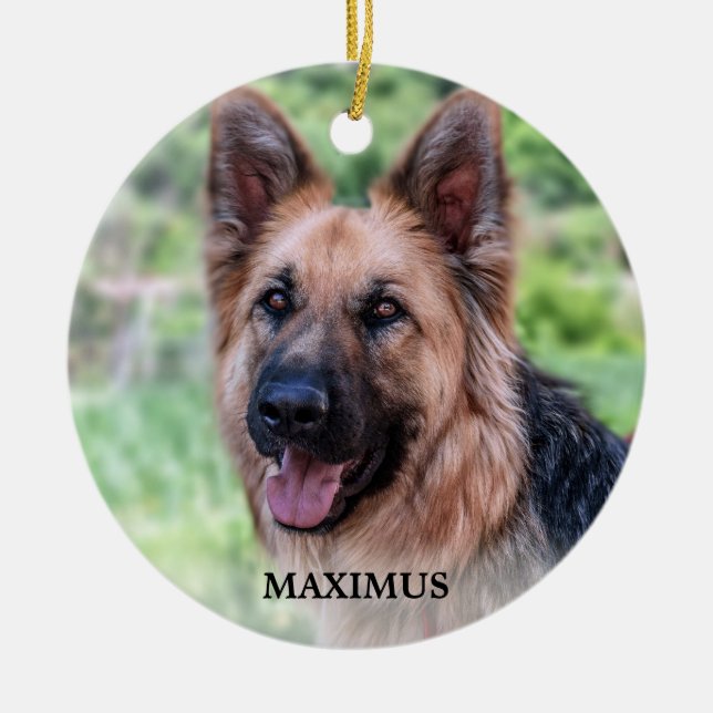 Ornamento De Cerâmica Foto personalizada de cão de estimação Simples Nat (Frente)