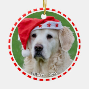 Ornamento De Cerâmica Foto personalizada de cão labrador com moldura ver