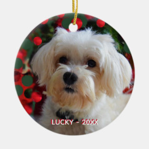 Ornamento De Cerâmica Foto personalizada de cão maltês