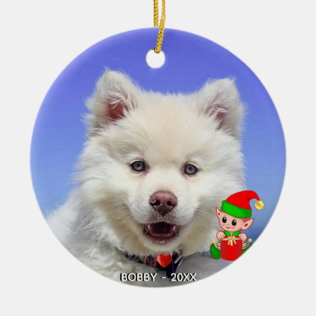 Ornamento De Cerâmica Foto personalizada de cão samoiado com elf fofo (Frente)