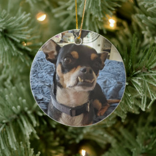 Ornamento De Cerâmica Foto personalizada de Doggie