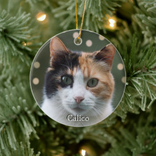 Ornamento De Cerâmica Foto Personalizada de Gato Calico Customizada