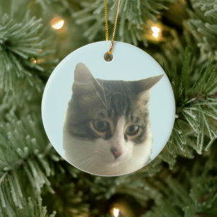 Ornamento De Cerâmica Foto personalizada de gato listrado em azul claro