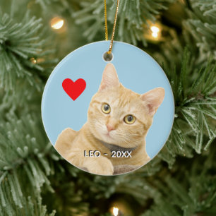 Ornamento De Cerâmica Foto personalizada de gato tabby gengibre em azul 