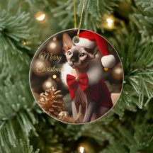 Foto personalizada de Natal do gato Sphynx