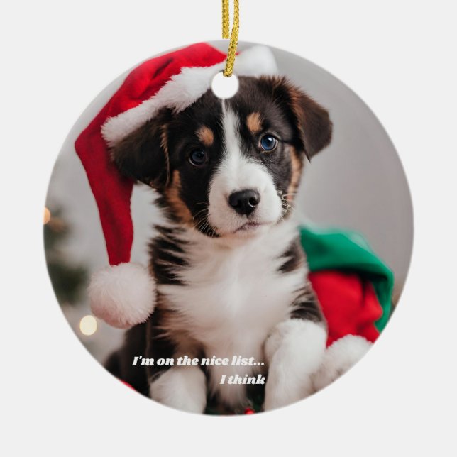 Ornamento De Cerâmica Foto personalizada de Natal Pet (Frente)