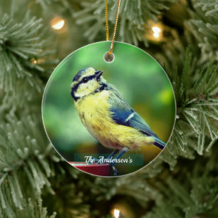 Ornamento De Cerâmica Foto Personalizada de Pássaro Amarelo de Peito Per