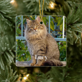 Ornamento De Cerâmica Foto Personalizada do Animal de Estimação Gato Ama