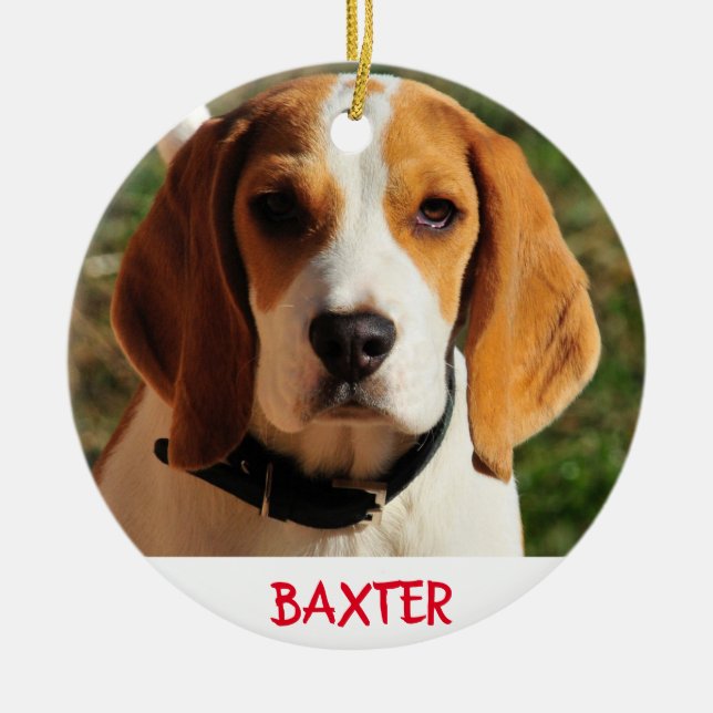 Ornamento De Cerâmica Foto Personalizada Do Cachorro Pet Beagle (Frente)